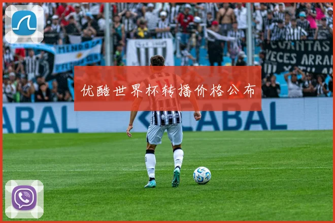 优酷世界杯转播价格公布