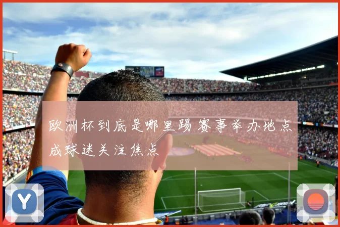 欧洲杯到底是哪里踢 赛事举办地点成球迷关注焦点