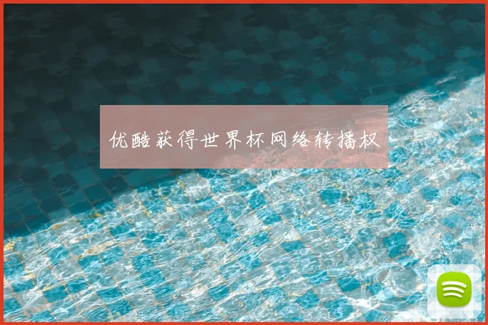 优酷获得世界杯网络转播权